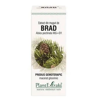 Extract din muguri de Brad, 50ml, PlantExtrakt