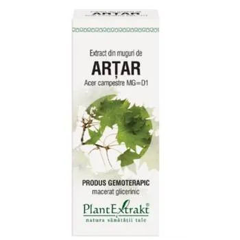 Extract din muguri de artar, 50ml, PlantExtrakt