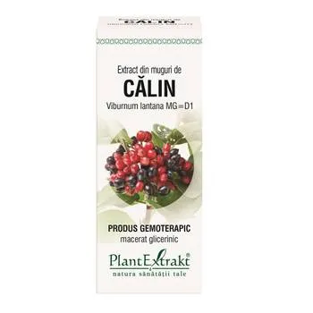 Extract din muguri de Calin, 50ml, Plantextrakt