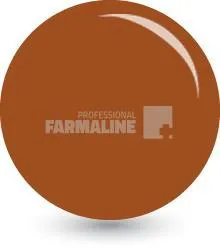 Farmec Ultrarezistent Lac pentru unghii nr. 13