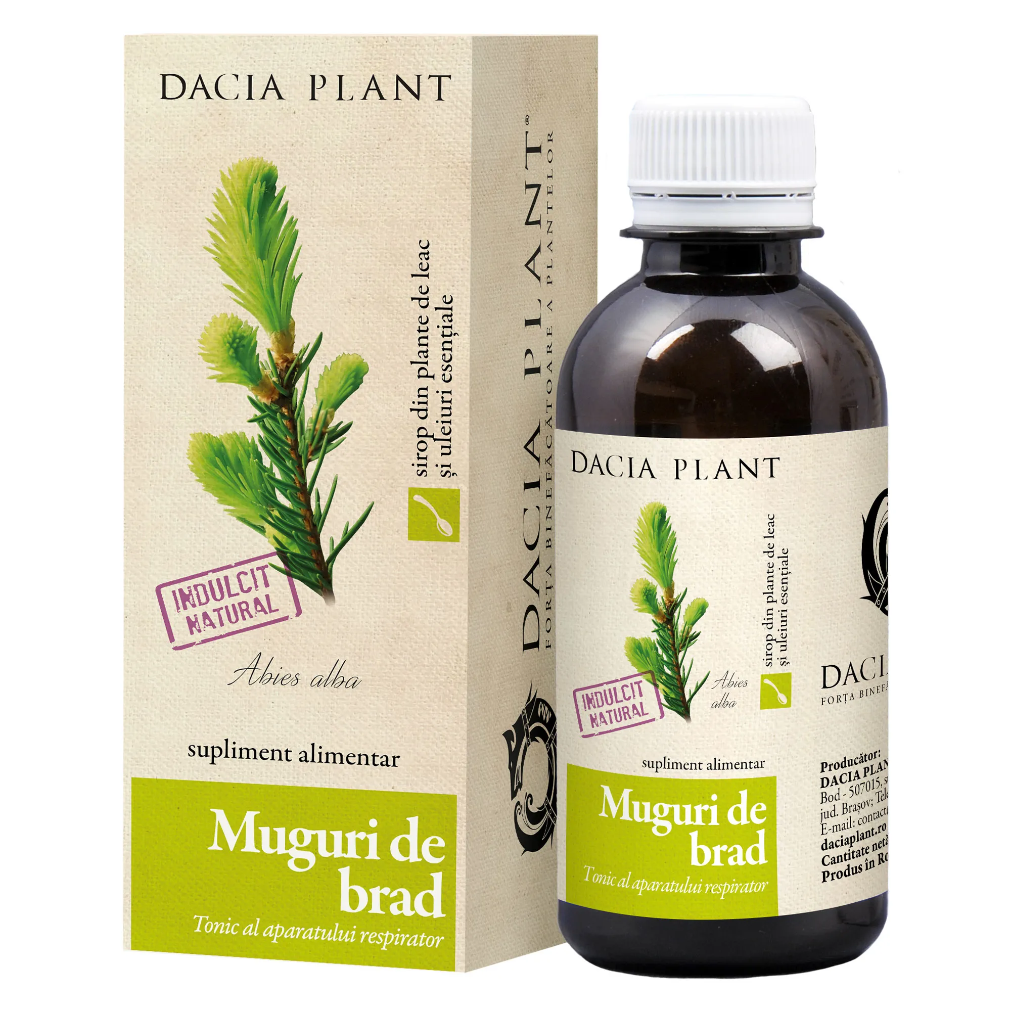 Sirop muguri brad, 200 ml, Dacia Plant