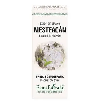 Extract din seva de Mesteacan, 50ml, PlantExtrakt