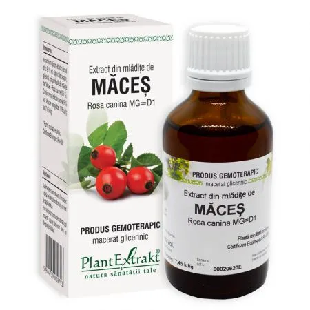 Extract din mladite de Maces, 50 ml, Plant Extract