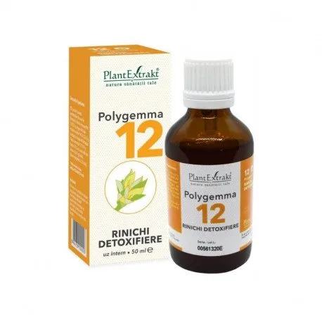 POLYGEMMA nr.12 Rinichi, 50 ml