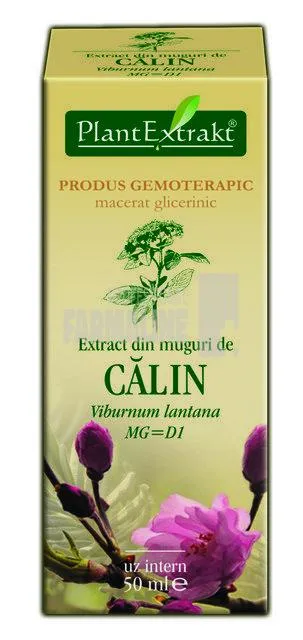 Extract din muguri de Calin 50 ml