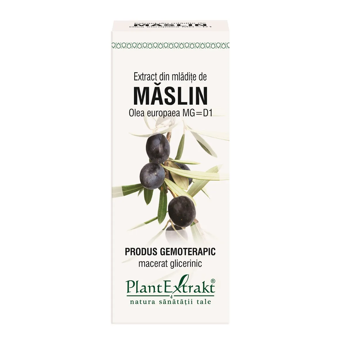 Extract din mladite de maslin, 50 ml, Plantextrakt