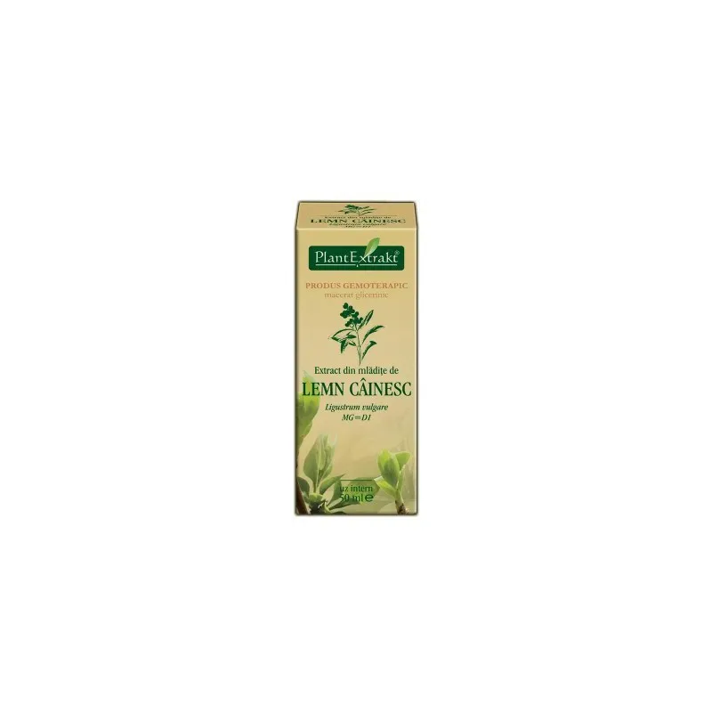 EXTRACT DIN MLADITE DE LEMN CAINESC 50ML