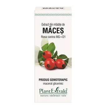 Extract din mladite de maces, 50ml, Plant Extract