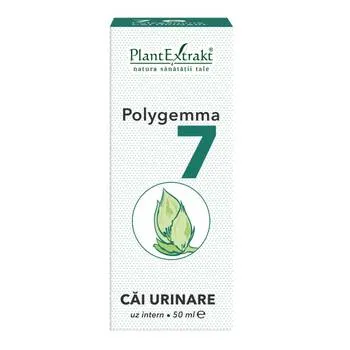Polygemma 7 Cai urinare, 50ml, PlantExtrakt