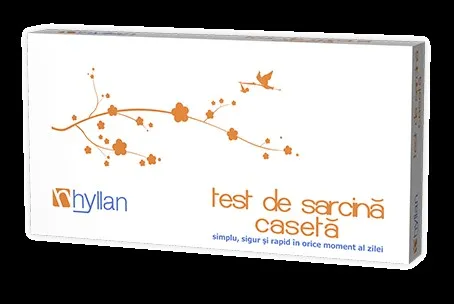 Test Sarcina Caseta -Hyllan